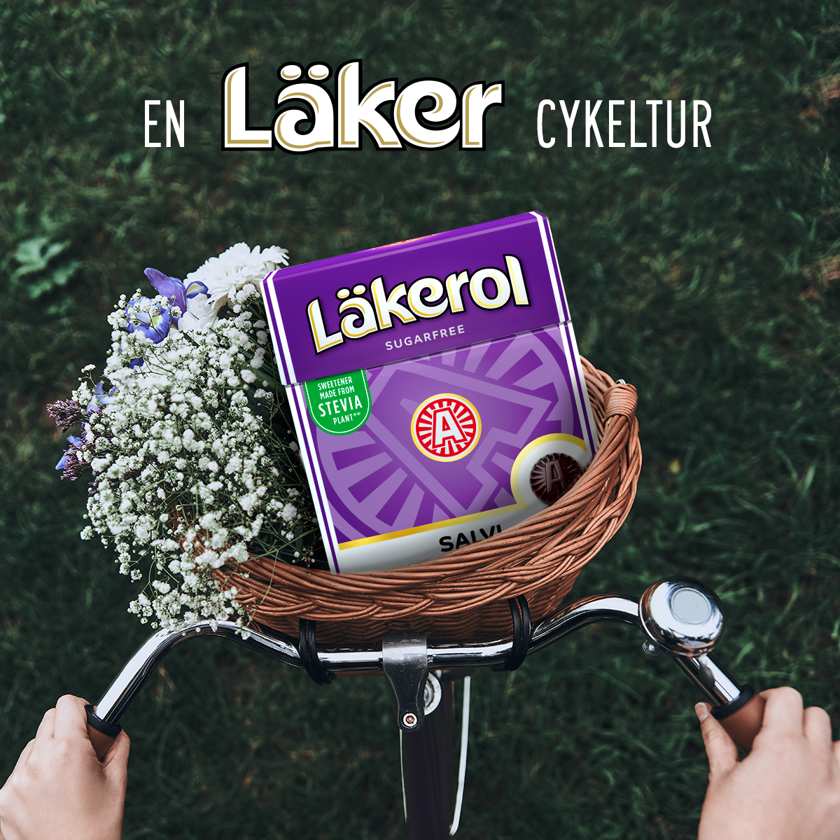 Lakerol_cykelkurv_NY